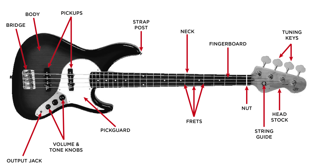 Bass Guitar Buyer S Guide