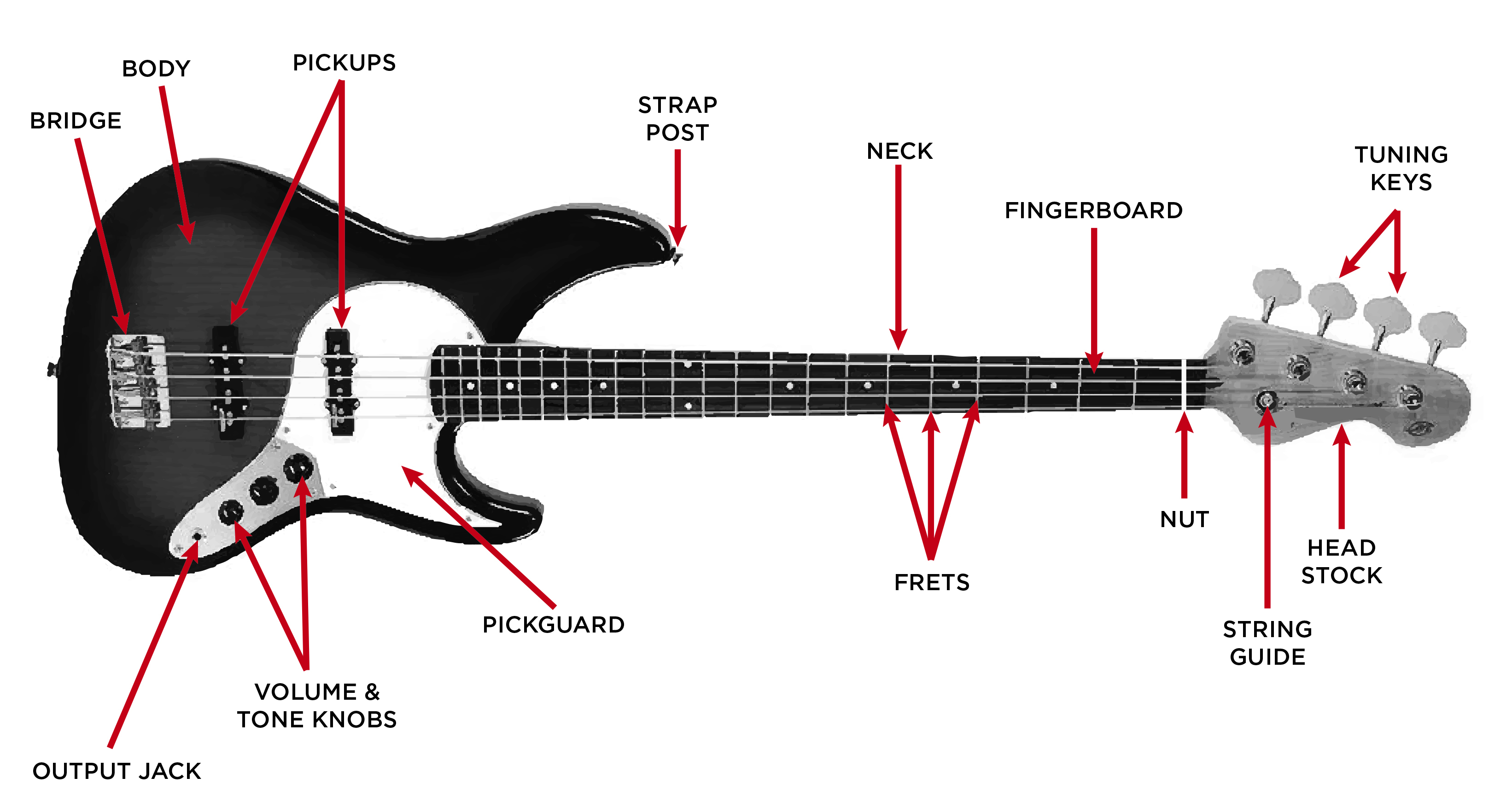guitar neck parts diagram