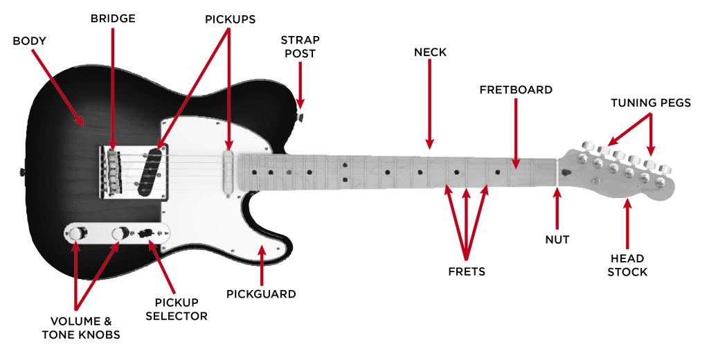 Electric Guitar Buyer's Guide wiring diagram for electric guitar 