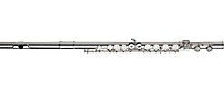 Gemeinhardt 2SP series student flute