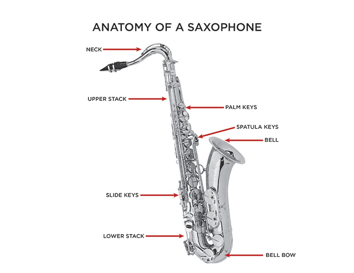 Saxophone_Diagram