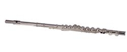 Verve Student Flute FLV-100S Standard