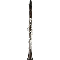 Allora Paris Series Professional Bb Clarinet Model AACL-913 Standard