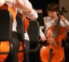 Common Problems with Cellos (& What You Should Do)