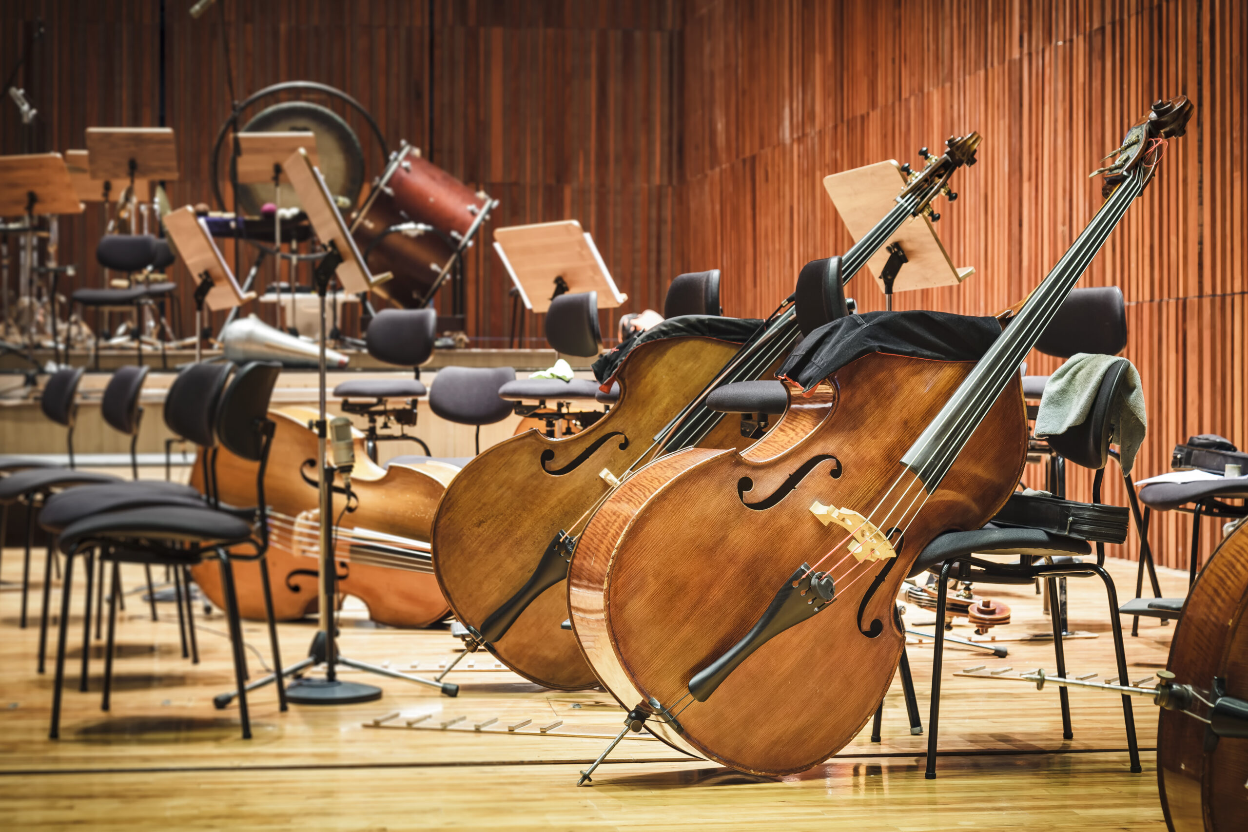Cello Rental or Purchase