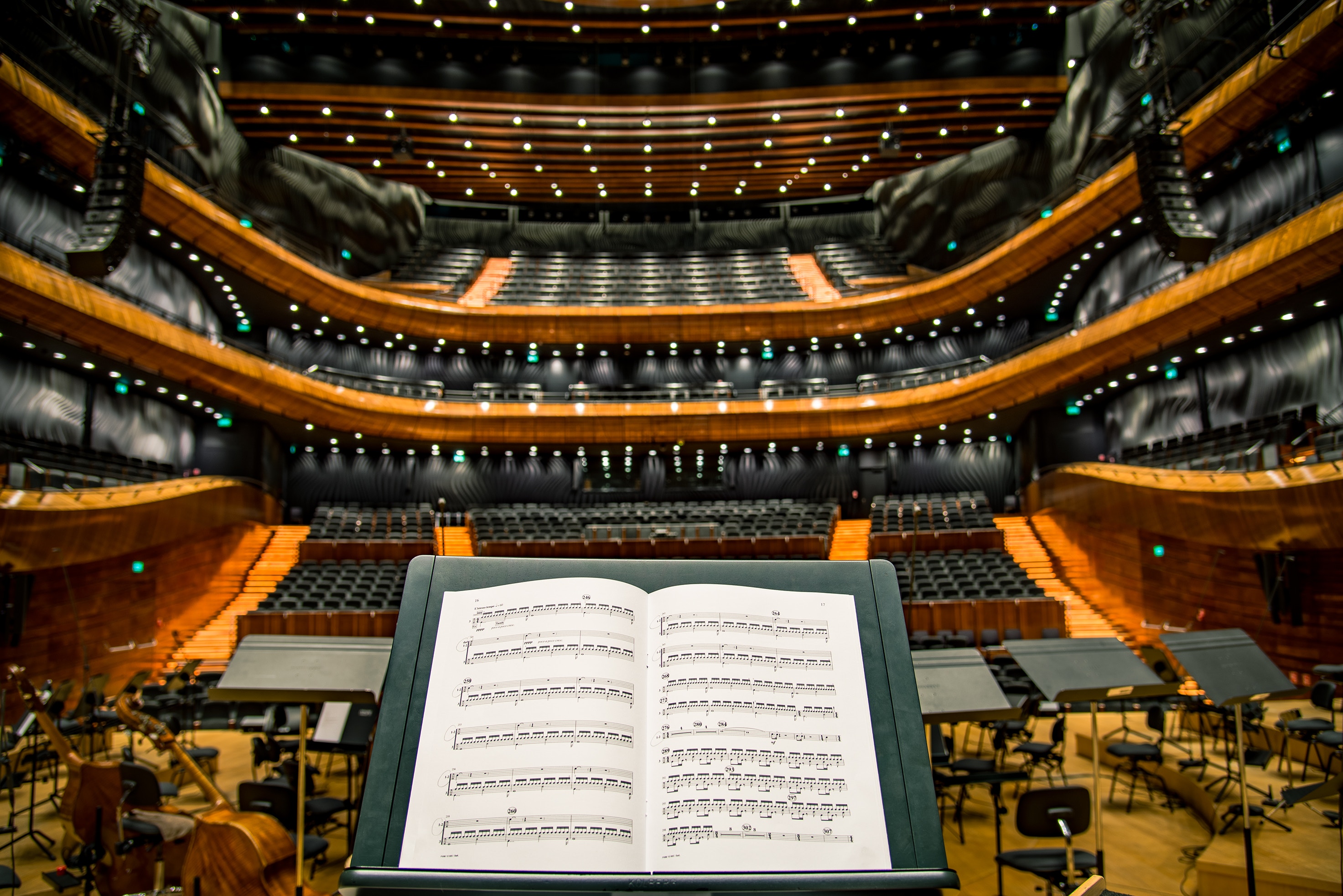 An Inside Look at Five of America’s Best Orchestras