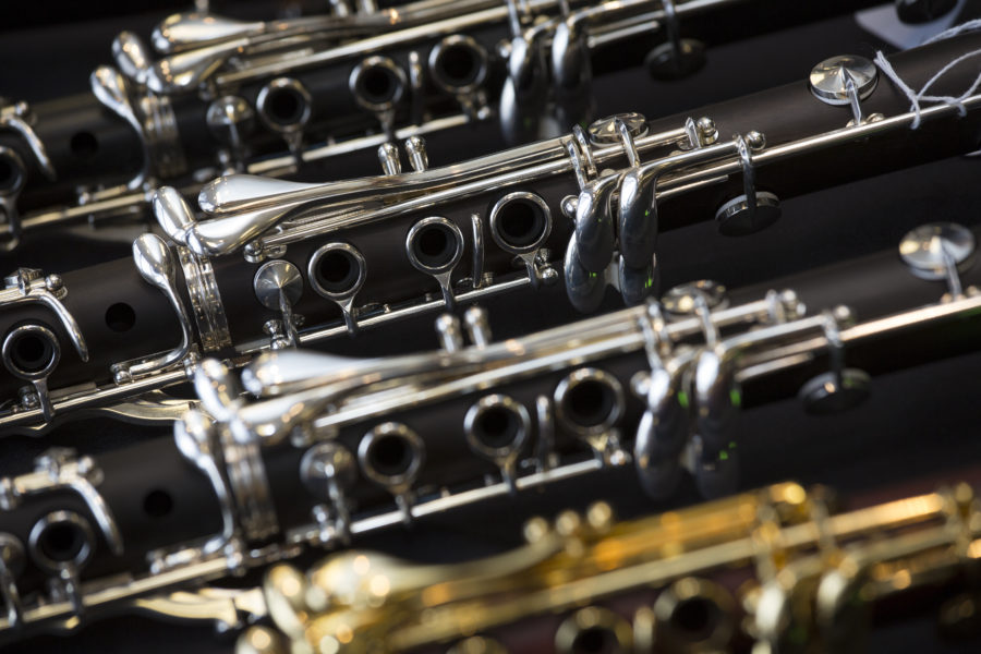 What Are Single Reed Instruments?